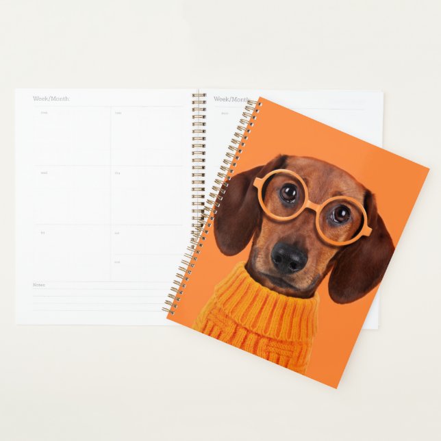 Animaux de bébés cutest | Chandail orange Dachshun (Devant avec enveloppe)