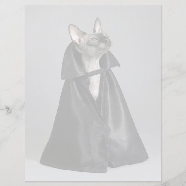 Animaux de bébés cutest | Chat sans poil Sphynx (Devant)