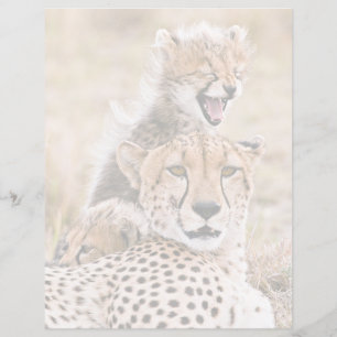 Animaux de bébés cutest Cheetah Cat & Cub