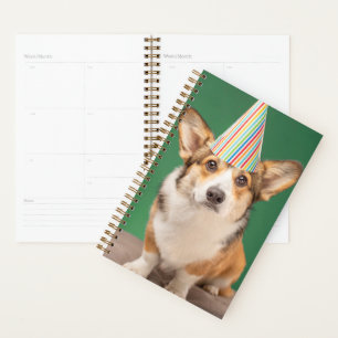 Animaux de bébés cutest Corgi Anniversaire Chiot