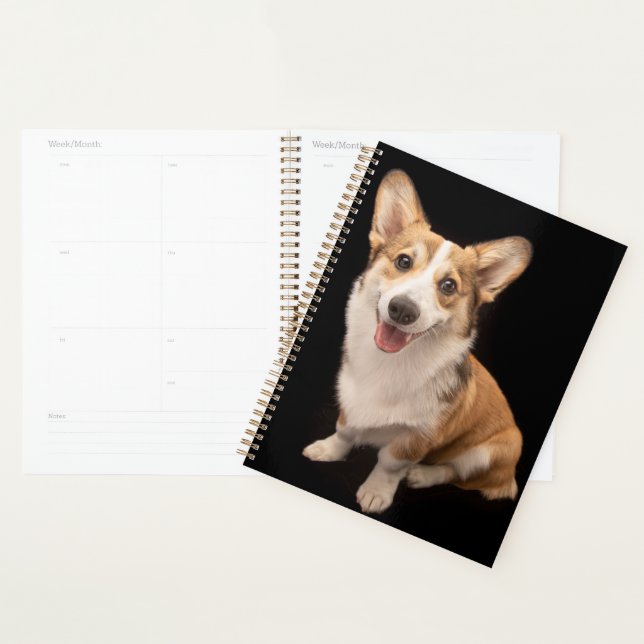 Animaux de bébés cutest | Corgi Puppy Smile (Devant avec enveloppe)
