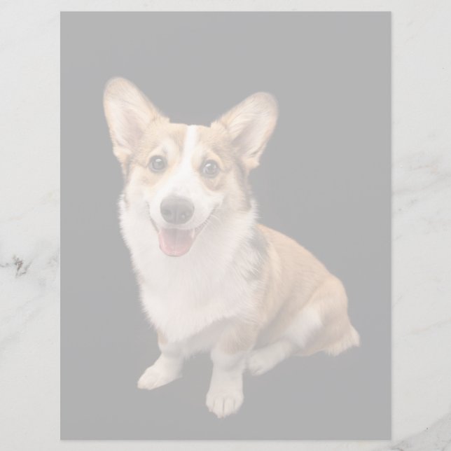 Animaux de bébés cutest | Corgi Puppy Smile (Devant)