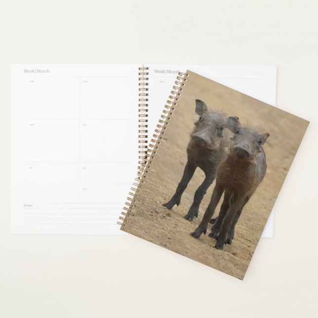 Animaux de bébés cutest | Deux jeunes phacochères (Devant avec enveloppe)