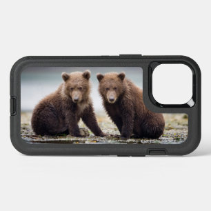 Animaux de bébés cutest   Deux petits ours d'ours