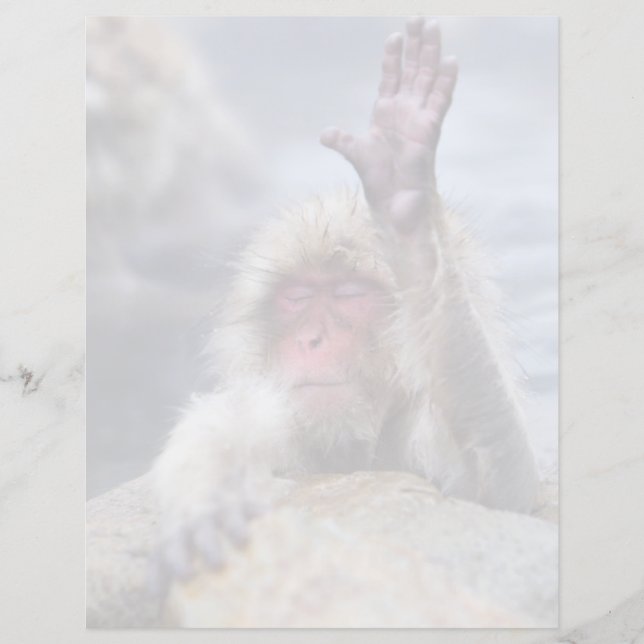 Animaux de bébés cutest | Face de singe de neige (Devant)