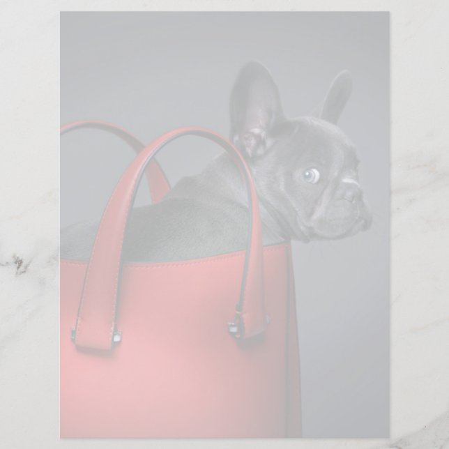 Animaux de bébés cutest | French Bulldog Red Hand  (Devant)