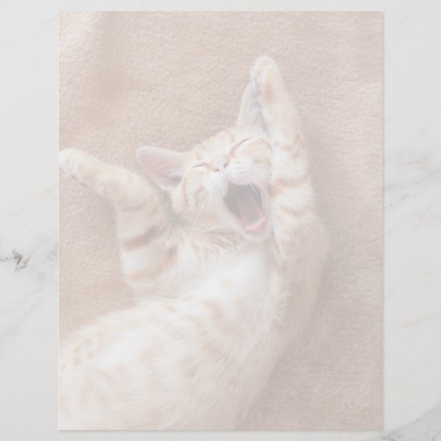 Animaux de bébés cutest | Ginger Kitten Yawning (Devant)