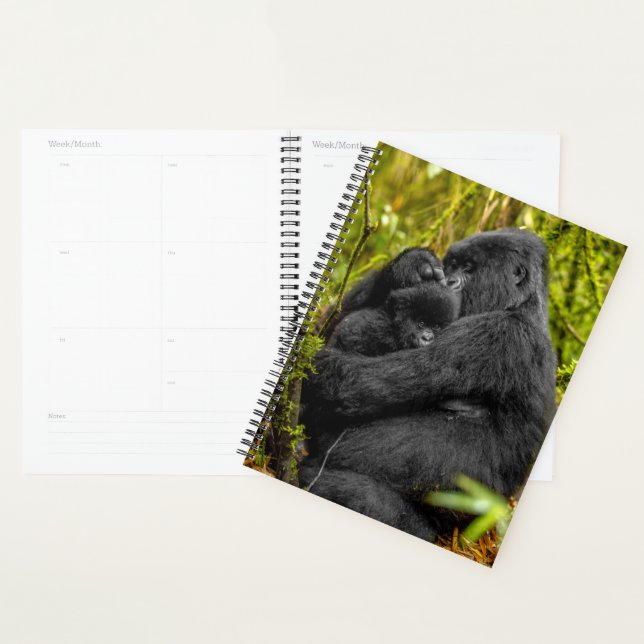 Animaux de bébés cutest | Gorilla & bébé (Devant avec enveloppe)