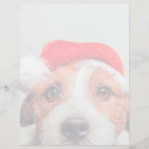 Animaux de bébés cutest Jack Russell Chien Père