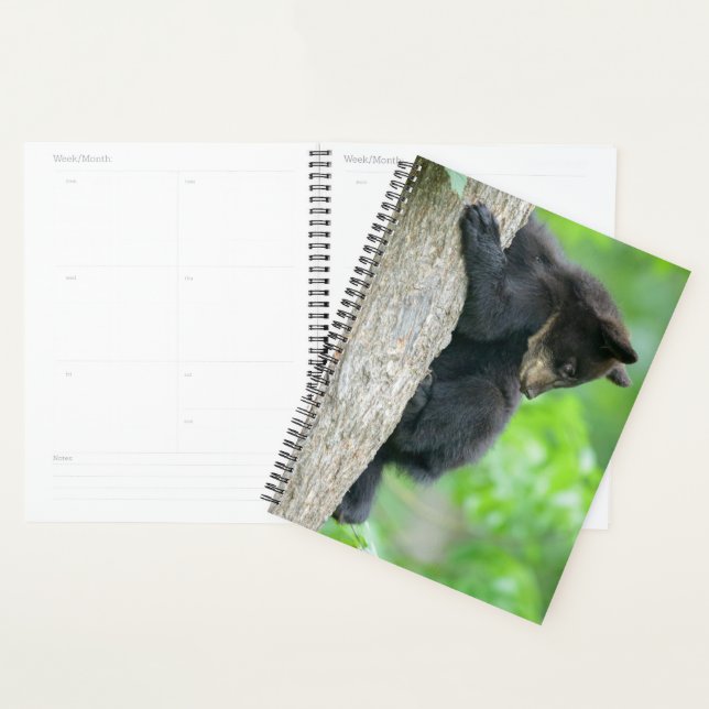 Animaux de bébés cutest | Jeune ours Ours Noir (Devant avec enveloppe)