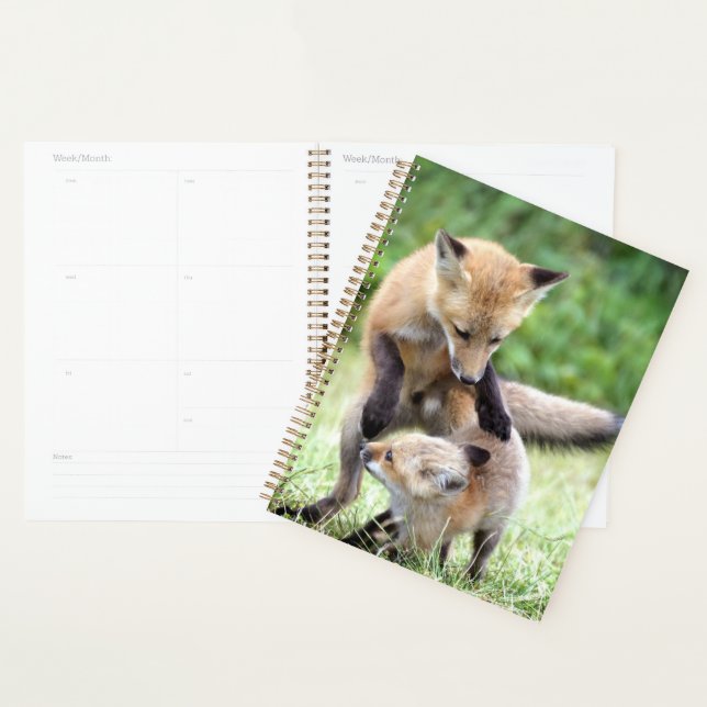 Animaux de bébés cutest | Kit et maman Fox adorabl (Devant avec enveloppe)