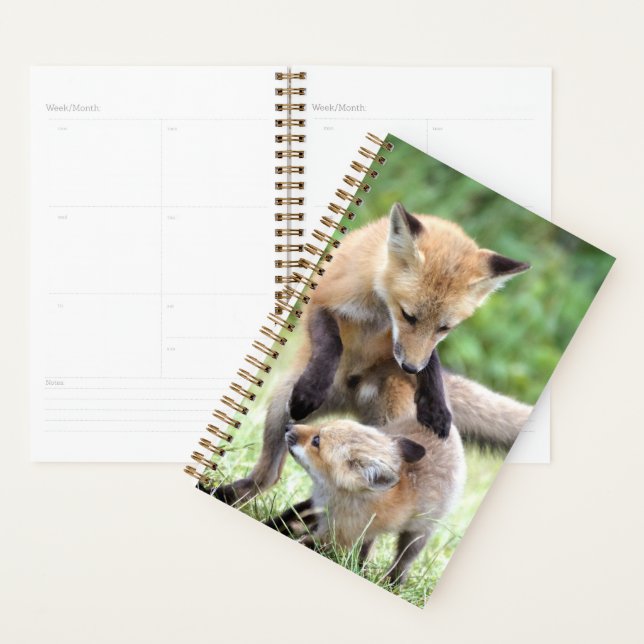 Animaux de bébés cutest | Kit et maman Fox adorabl (Devant avec enveloppe)