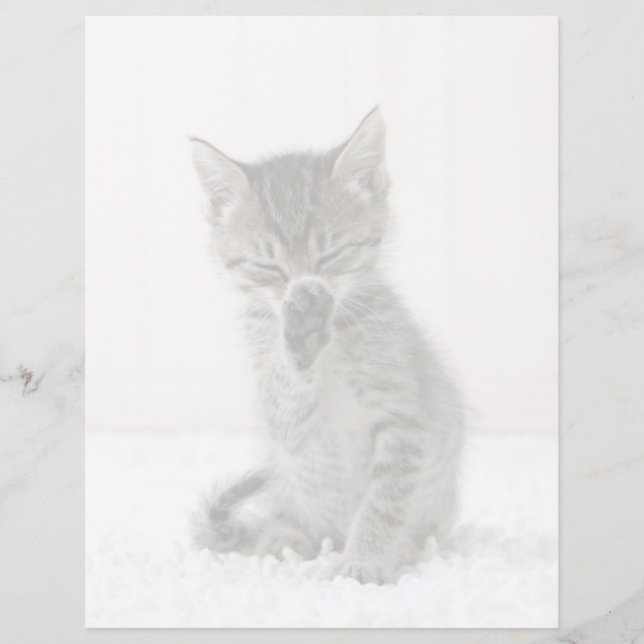 Animaux de bébés cutest | Licking Tabby Kitten (Devant)