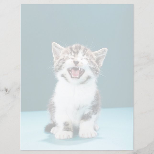 Animaux de bébés cutest | Mewing Baby Kitten (Devant)
