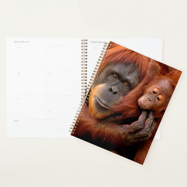 Animaux de bébés cutest | Orangutan Maman & Baby (Devant avec enveloppe)