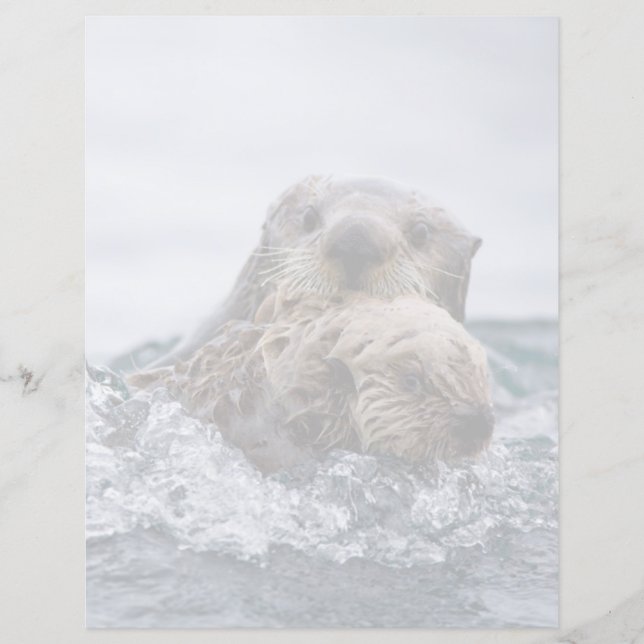 Animaux de bébés cutest | Otter Baby & Mère (Devant)