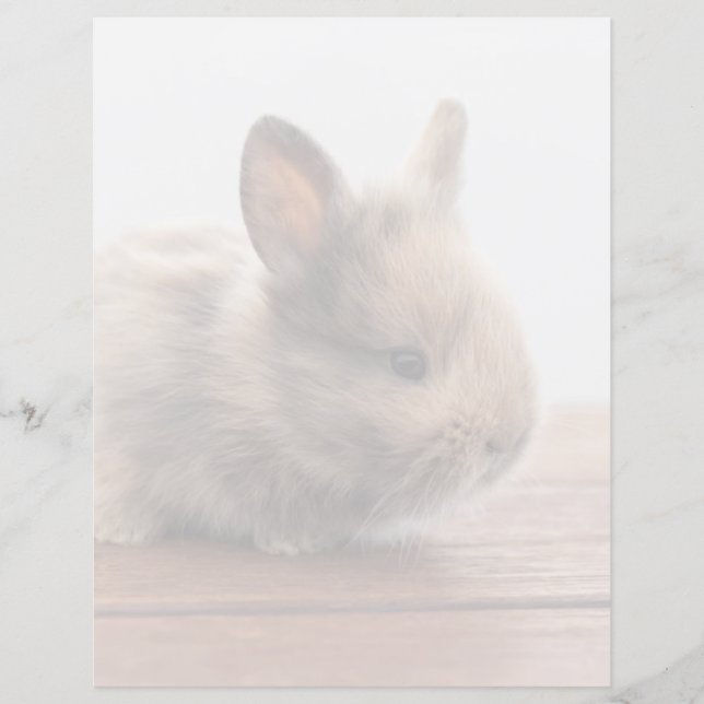 Animaux de bébés cutest | Petit lapin bébé (Devant)