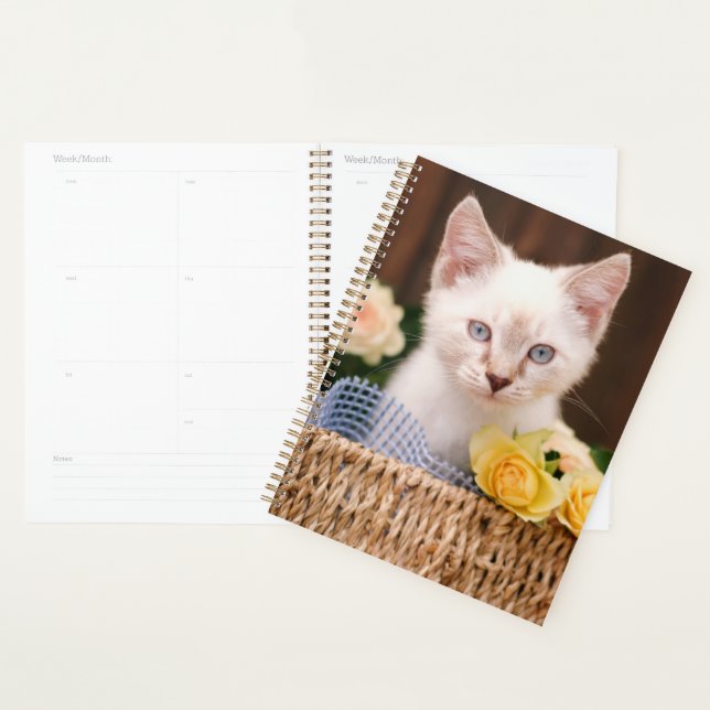 Animaux de bébés cutest | Roses chats et jaunes (Devant avec enveloppe)