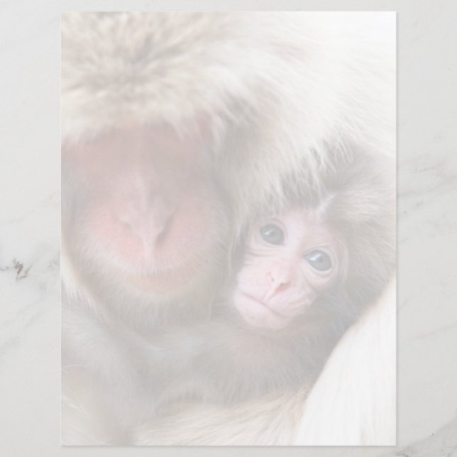 Animaux de bébés cutest | Singe des neiges (Devant)