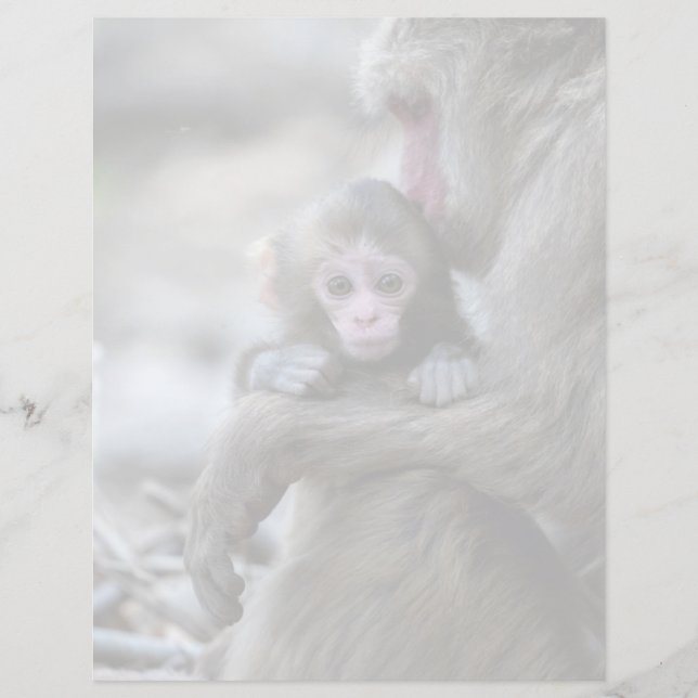 Animaux de bébés cutest | Singe et bébé japonais (Devant)