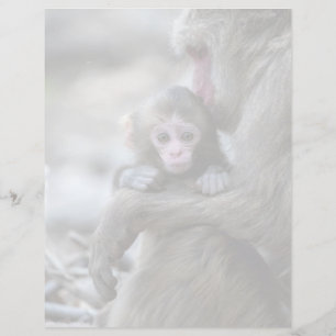 Animaux de bébés cutest   Singe et bébé japonais