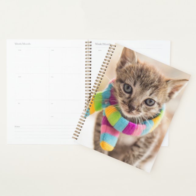 Animaux de bébés cutest | Tabby Kitten Écharpe arc (Devant avec enveloppe)