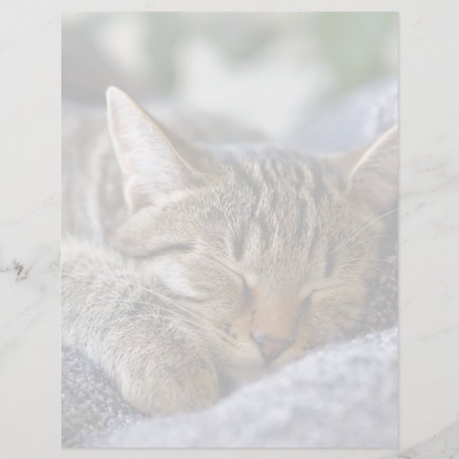 Animaux de bébés cutest | Tabby Kitten Sommeil (Devant)