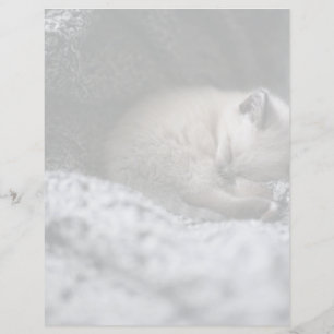 Animaux de bébés cutest Tiny Kitten Dormir