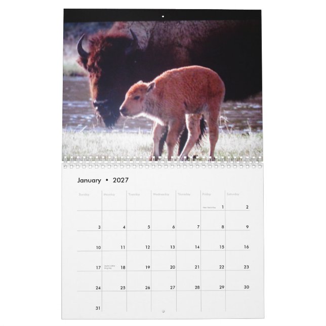 Animaux de calendrier imprimé par coutume de (Jan 2027)