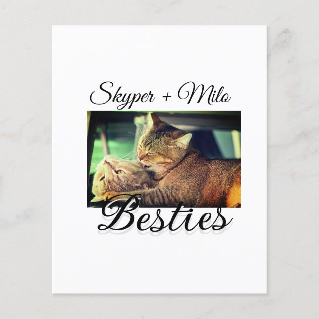 Animaux de compagnie amis besties ajouter nom anim (Devant)