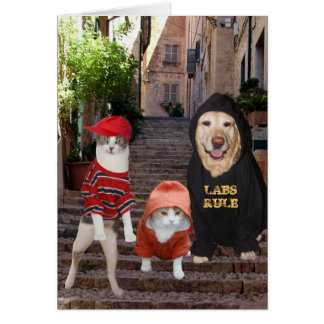 Animaux de compagnie amusants Whazup in da 'hood?