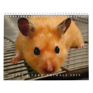 Animaux de compagnie et de ferme calendrier 2026