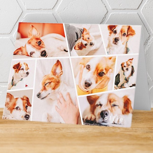 Animaux de compagnie Moderne Simple Personnalisé 9 (Créateur téléchargé)