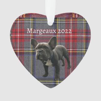 Animaux de famille de l'ornement acrylique