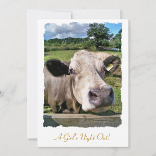 ANIMAUX DE LA FERME, VACHE COUPÉE