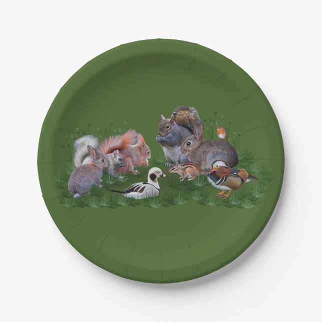 Animaux de la forêt Assiette en carton (Devant)