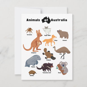 Animaux de l'Australie faune australienne