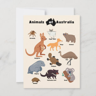 Animaux de l'Australie faune australienne