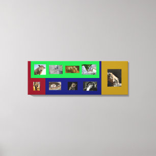 Animaux drôles sur toile colorée tendue