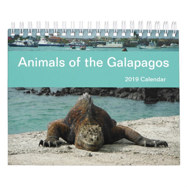 Animaux du calendrier de Galapagos 2019 (Protection)