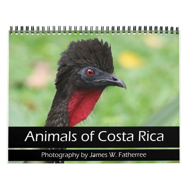 Animaux du calendrier du Costa Rica (Protection)