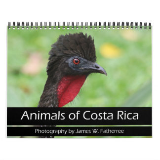 Animaux du calendrier du Costa Rica