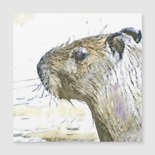 animaux fascinants - Capybara