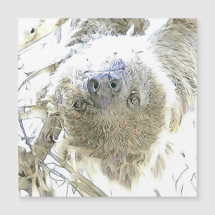 animaux fascinants - Sloth