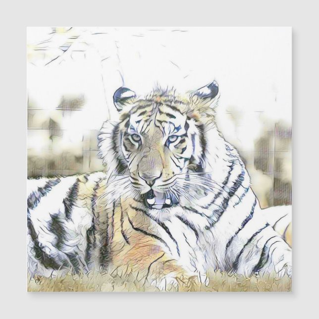 animaux fascinants - Tigre (Devant)