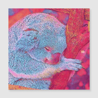 Animaux populaires - Koala