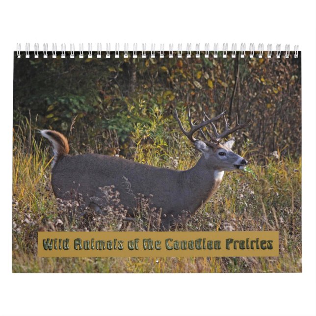 Animaux sauvages du Calendrier des Prairies canadi (Protection)