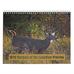 Animaux sauvages du Calendrier des Prairies canadi