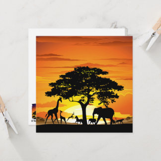 Animaux sauvages sur le coucher de soleil de la sa