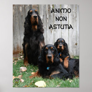ANIMO NON ASTUTIA Gordon Setter Generations Poster